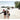 SAILBEE Women's Surfing Snorkeling Swimsuit Set Bathing Suit Long Sleeve Raghguard Top N028