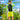 SAILBEE Men UV Protect Swimwear Long Sleeve Swimsuit Mens Rashguard Surfing Rash Guard Surf Shirt For Swimming Diving suit M0138