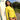 SAILBEE Women's UV Sun Protection Long Sleeve Rash Guard Wetsuit Swimsuit Top