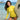 SAILBEE Women's UV Sun Protection Long Sleeve Rash Guard Wetsuit Swimsuit Top
