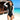 SAILBEE New Long Sleeve UV protection One-piece Swimsuit Women's Diving Suit Slim Surfer Bathing In Hot Spring Snorkeling Swimsuit