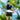SAILBEE Men UV Protect Swimwear Long Sleeve Swimsuit Mens Rashguard Surfing Rash Guard Surf Shirt For Swimming Diving suit M0143