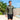 Model wearing the olive long sleeve surf rash guard on a sunny beach